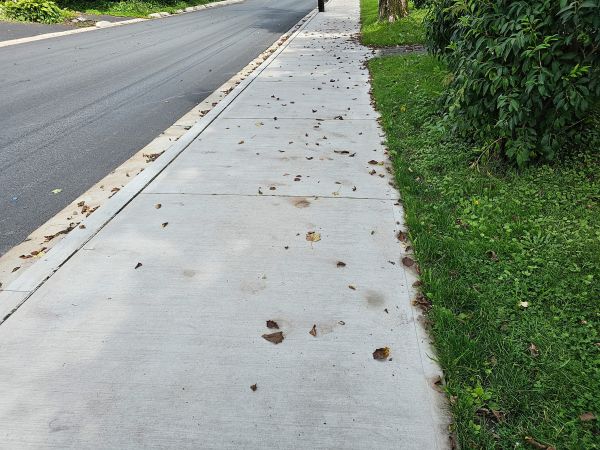 Cost of Sidewalk Renovation in Rome