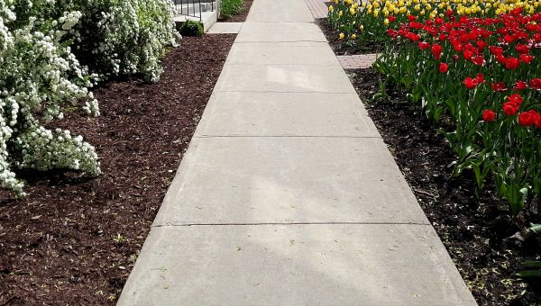 Cost of Sidewalk Slab Replacement in Rome