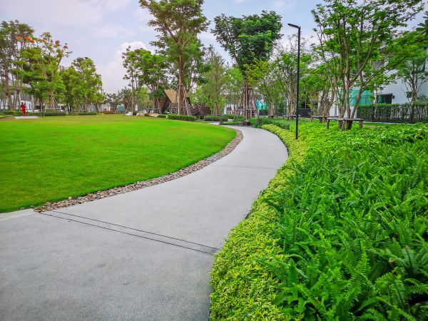 Cost of Cement Walkway Service in Rome